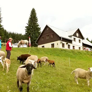 navštívit hotel
